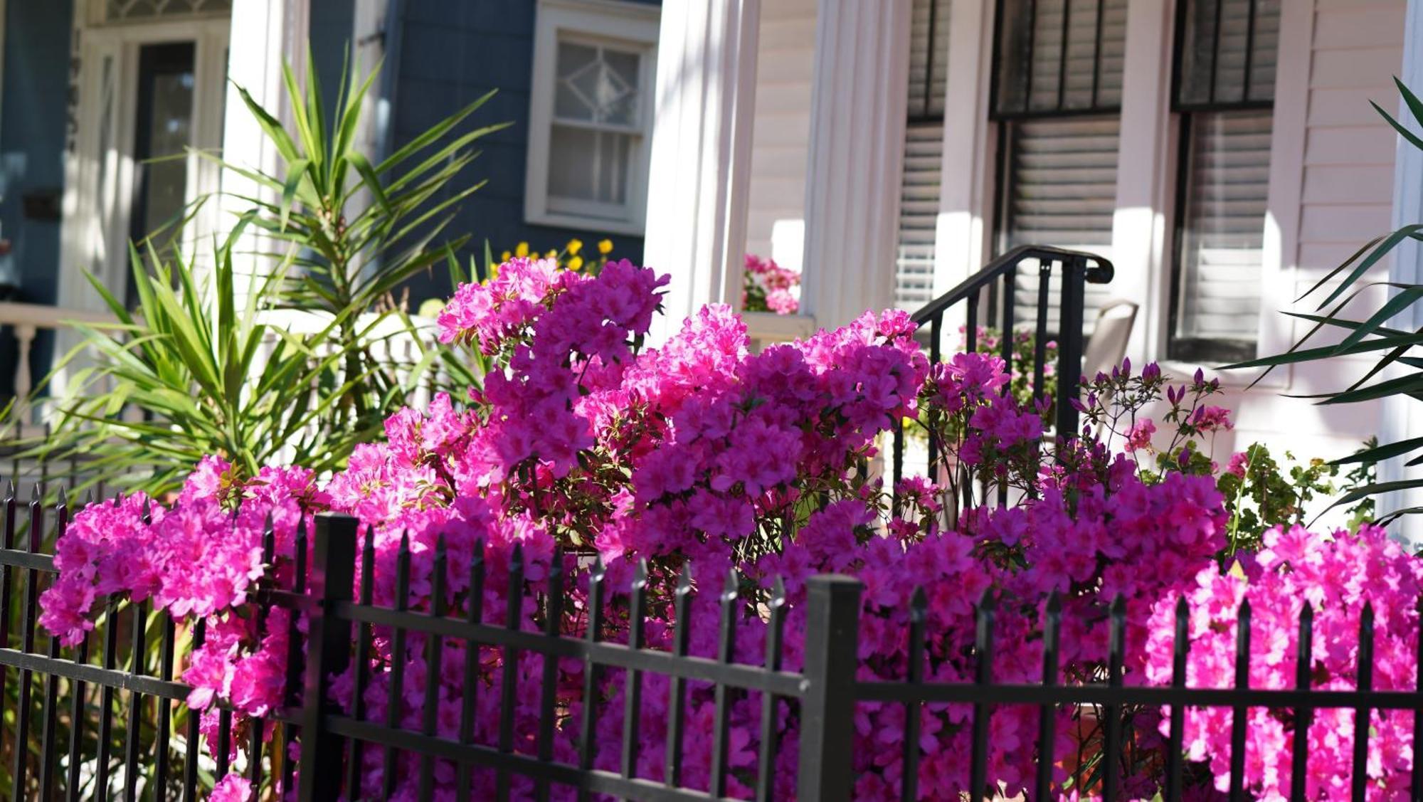 5 Bedroom Downtown Savannah Ga Exterior foto